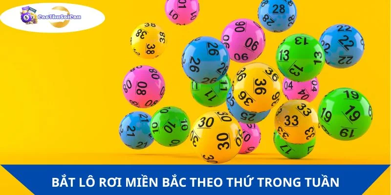 Bắt lô rơi miền Bắc theo các thứ trong tuần là ý hay