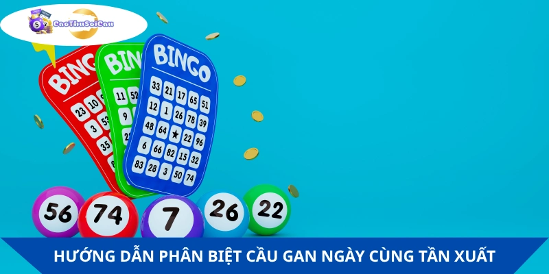 Hướng dẫn lô thủ phân biệt cầu Gan theo hai nhóm