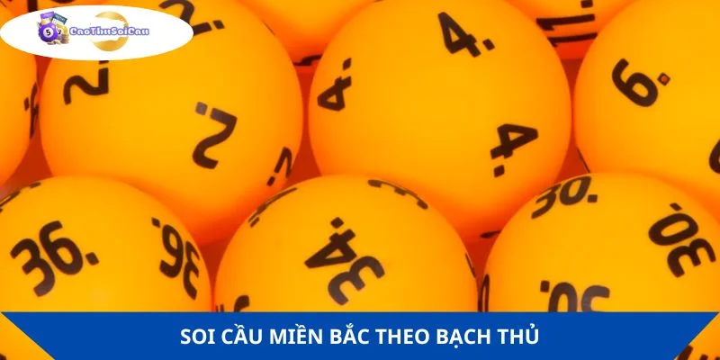 Thực hiện theo phương pháp bạch thủ