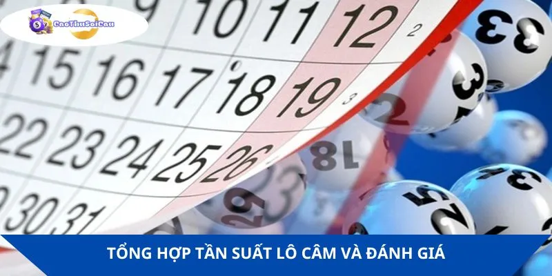 Tổng hợp tần suất lô câm và đánh giá