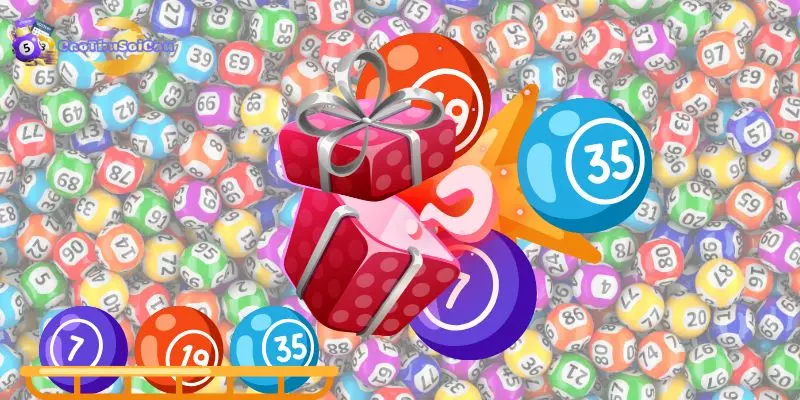 Khái quát về nuôi dàn đề 20 số